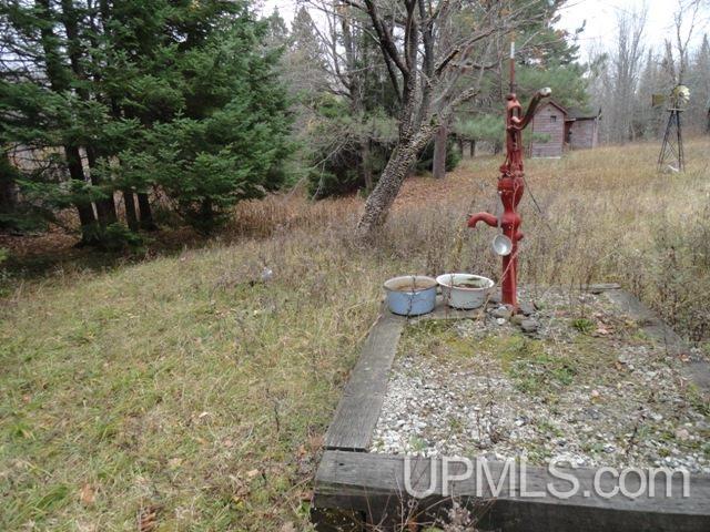 24494 L P Walsh Road White Pine, MI 49971 - Photo 13 of 28