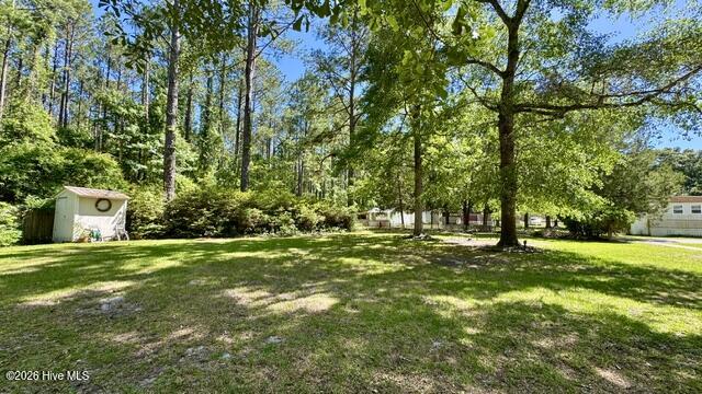 648 Old Church Road Swansboro, NC 28584 - Photo 13 of 36 backyard