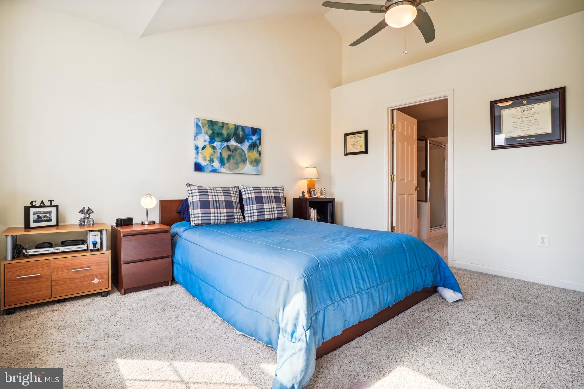 11882 Breton Court, Unit 10B Reston, VA 20191 - Photo 29 of 46 Owner's Suite