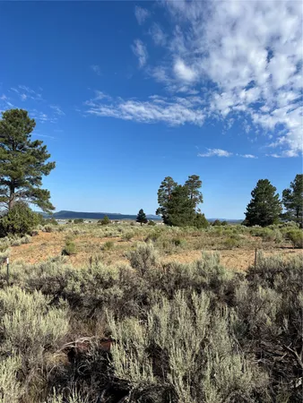 $29,500 | 573 Tierra Amarilla Nm 87575, Tierra Amarilla, NM 87575