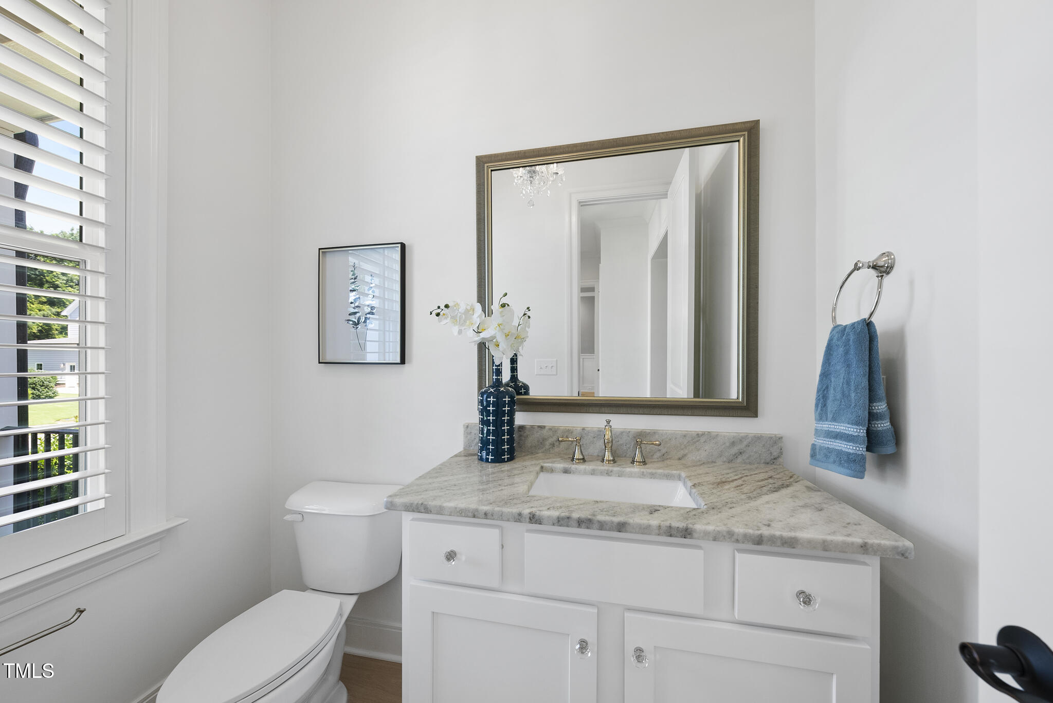 2073 Amalfi Place Apex, NC 27502 - Photo 3 of 40 a bathroom with a granite countertop sink a toilet and mirror