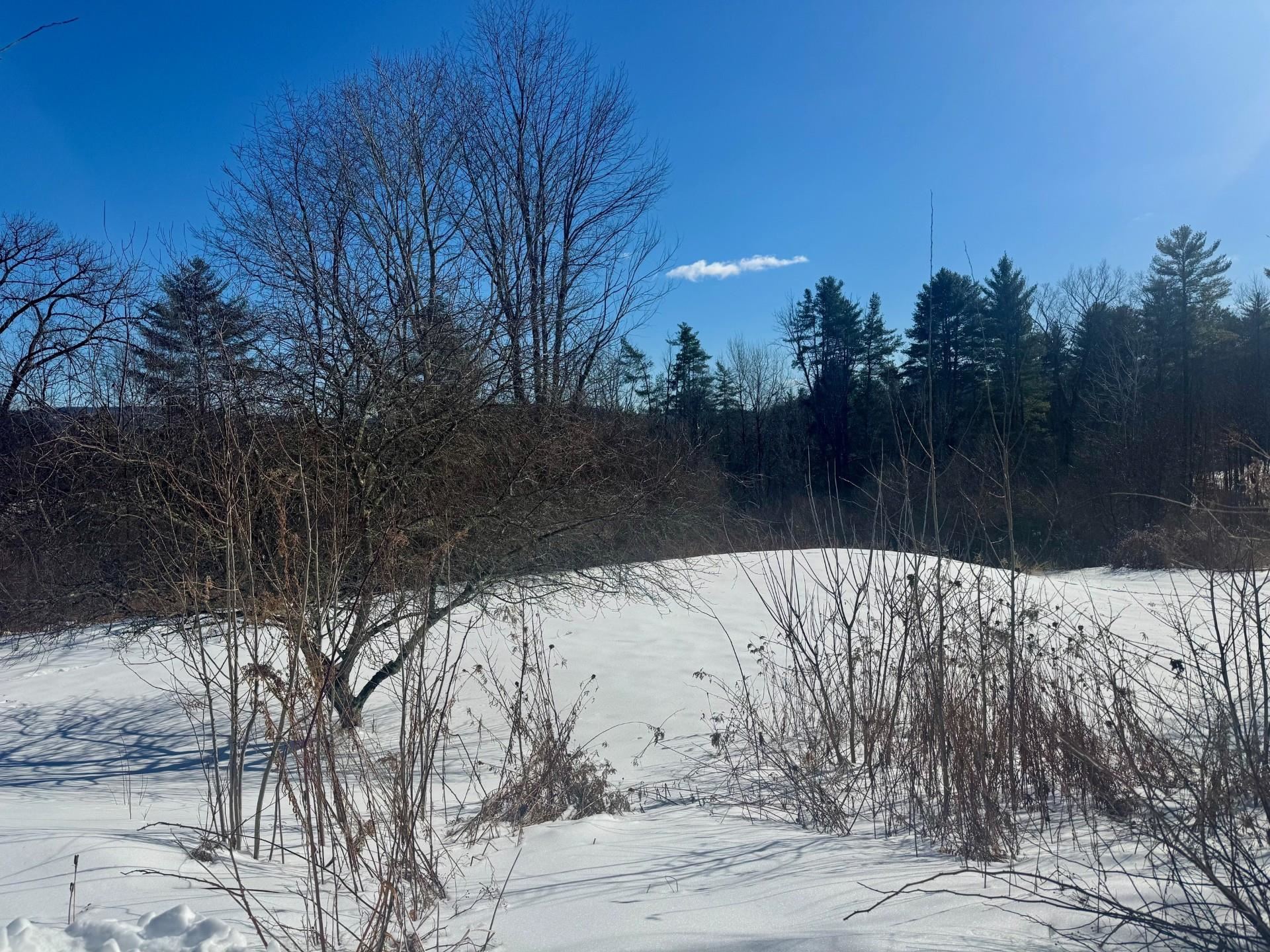 21 Bump Road Westmoreland, NH 03467 - Photo 33 of 33