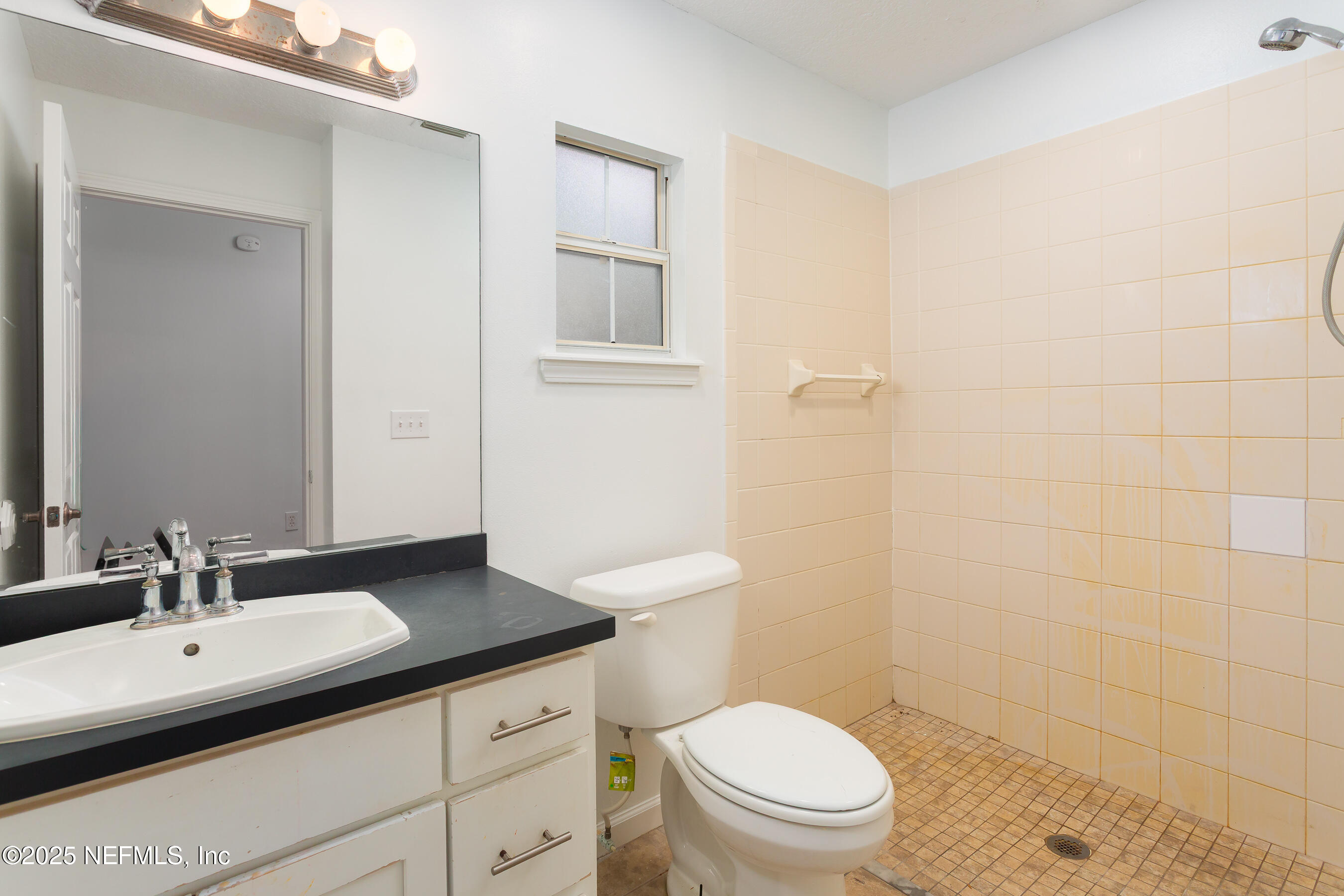 164 Carole Road Palatka, FL 32177 - Photo 15 of 32 a bathroom with a sink a toilet a mirror and shower