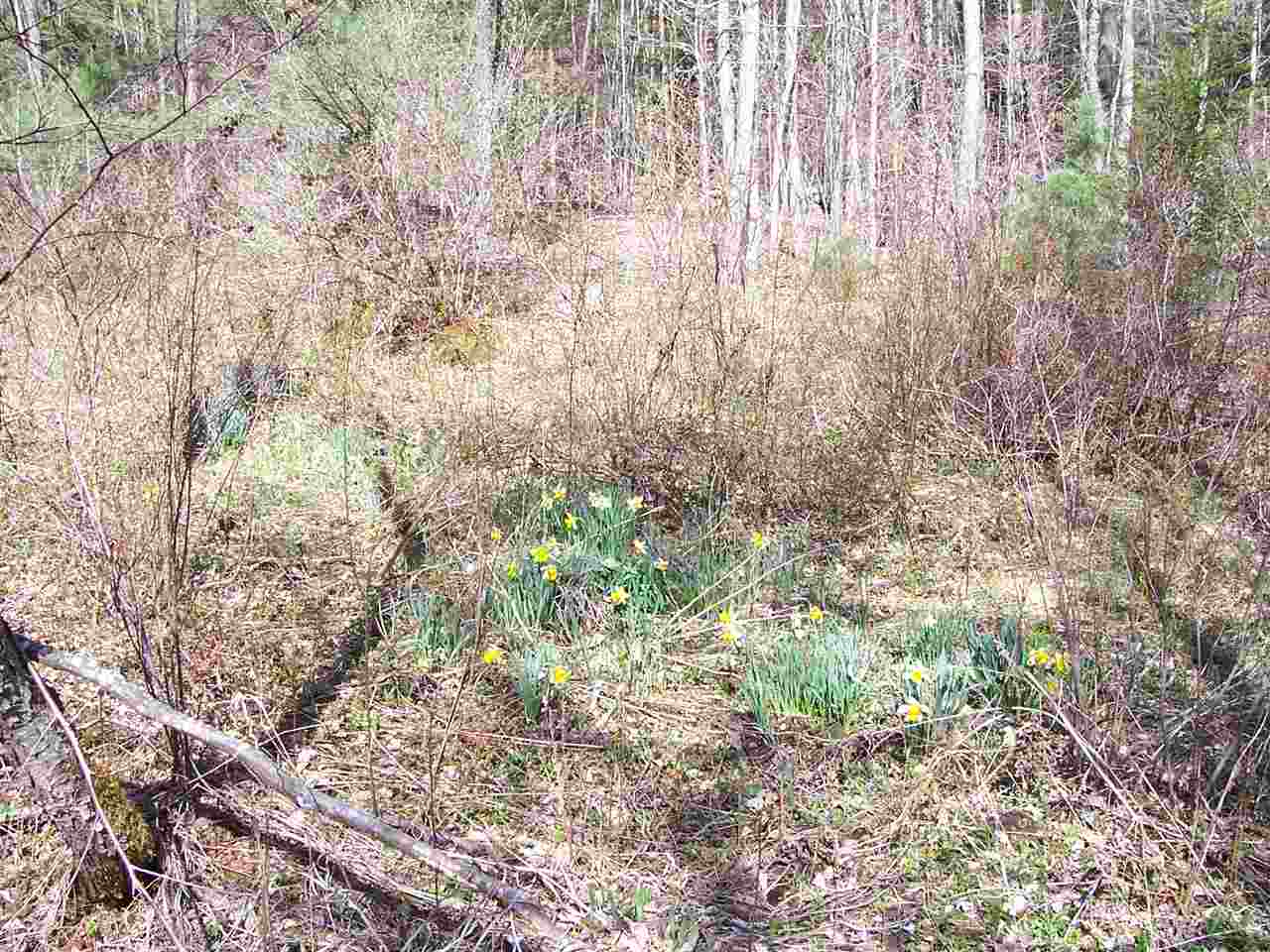 0 Deer Valley Road Townshend, VT 05353 - Photo 4 of 8