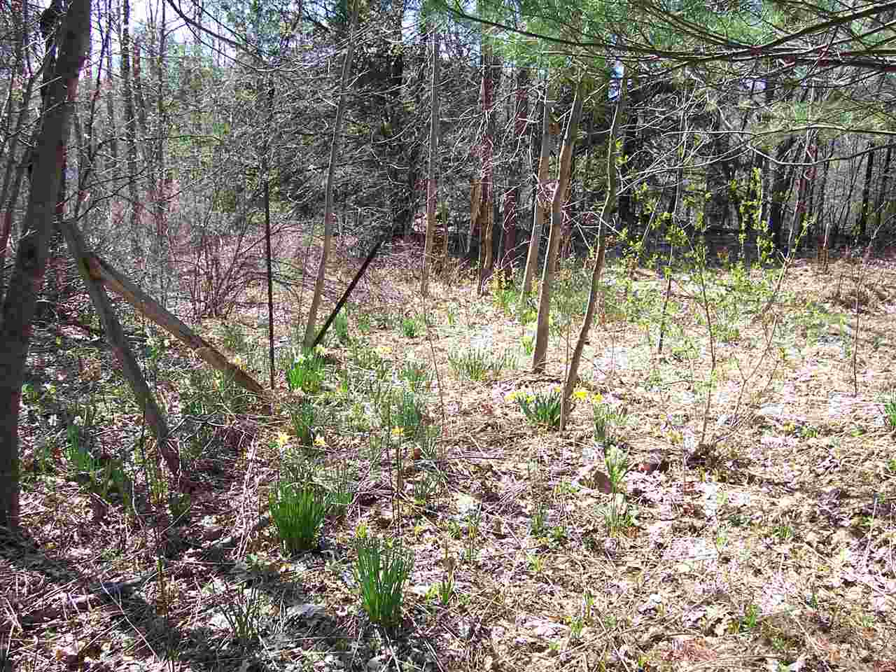 0 Deer Valley Road Townshend, VT 05353 - Photo 5 of 8