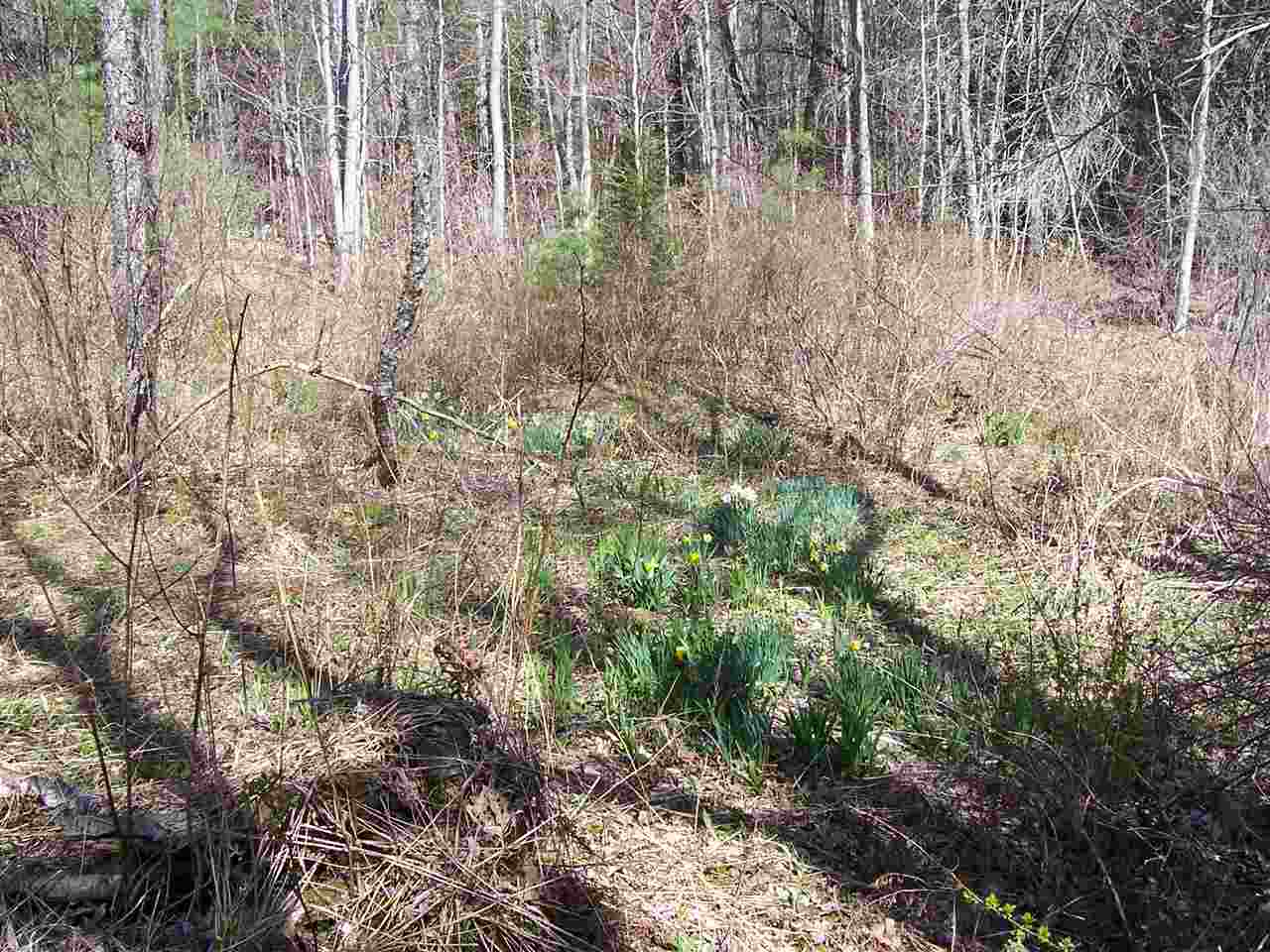0 Deer Valley Road Townshend, VT 05353 - Photo 6 of 8
