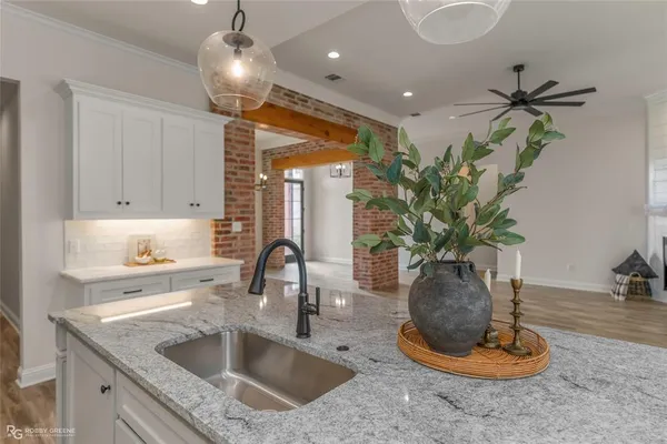 a kitchen with a potted plant on the counter a sink and cabinets