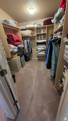 1330 North Dixie Downs Road, Unit 72 St. George, UT 84770 - Photo 7 of 21 Walk in closet with light carpet