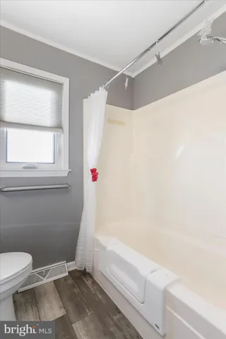a bathroom with a toilet and a bathtub