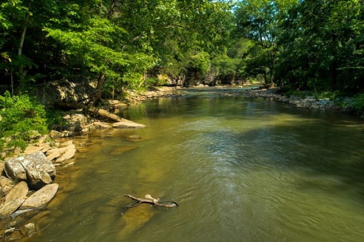 2485 Jackson Bridge Road Bowling Green, KY 42101 - Photo 4 of 29 Gallery Image 4