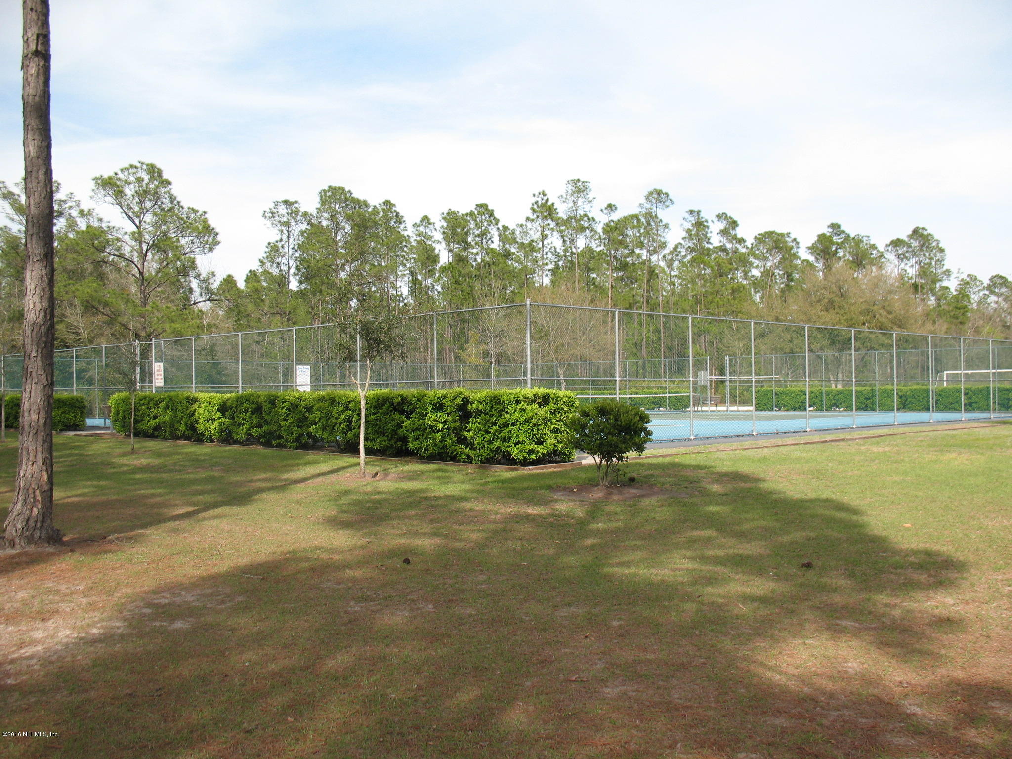 1112 Cactus Cut Road Middleburg, FL 32068 - Photo 37 of 48 a view of a backyard