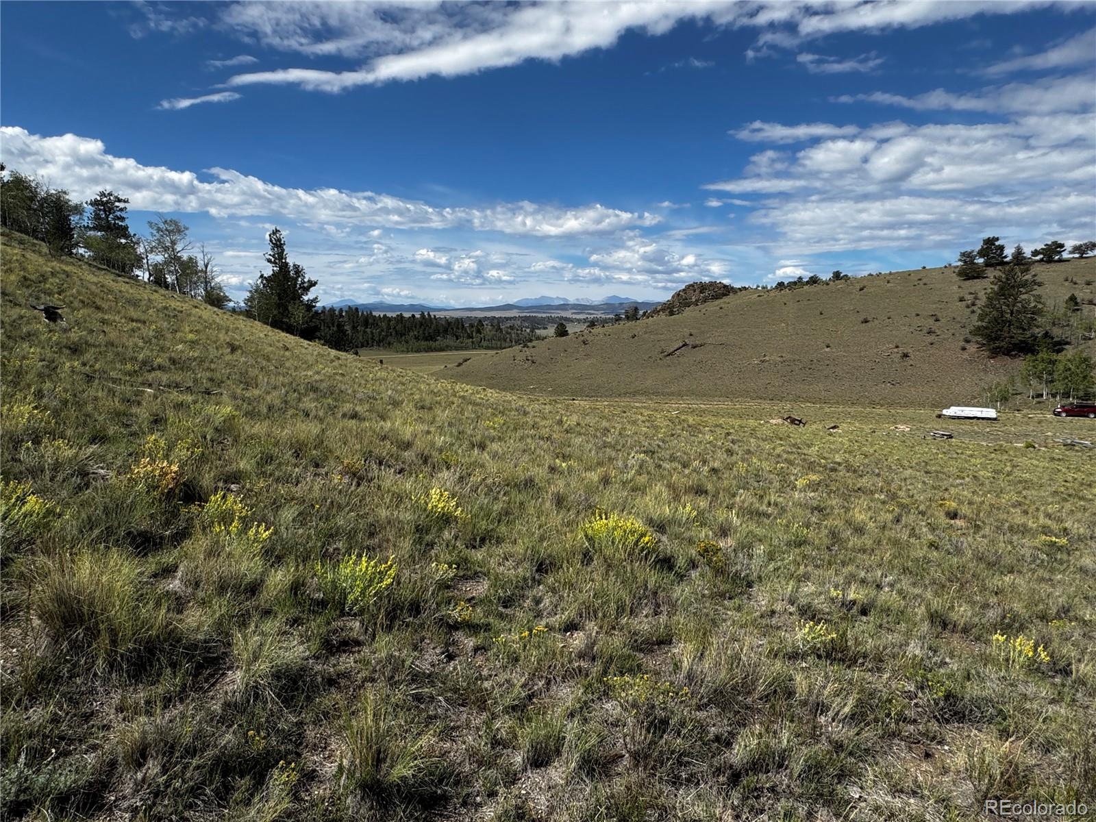 8390 Chickasaw Road Hartsel, CO 80449 - Photo 4 of 16 Gallery Image 4