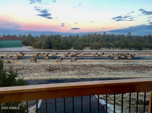 $895,000 | 2335 Voyager Circle, Overgaard, AZ 85933