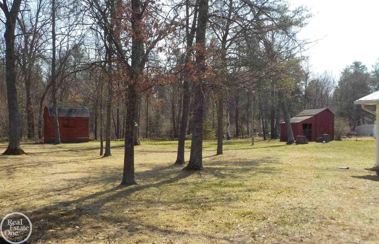 4077 Elbow Lake Road Prescott, MI 48756 - Photo 25 of 33 view from gate leading to