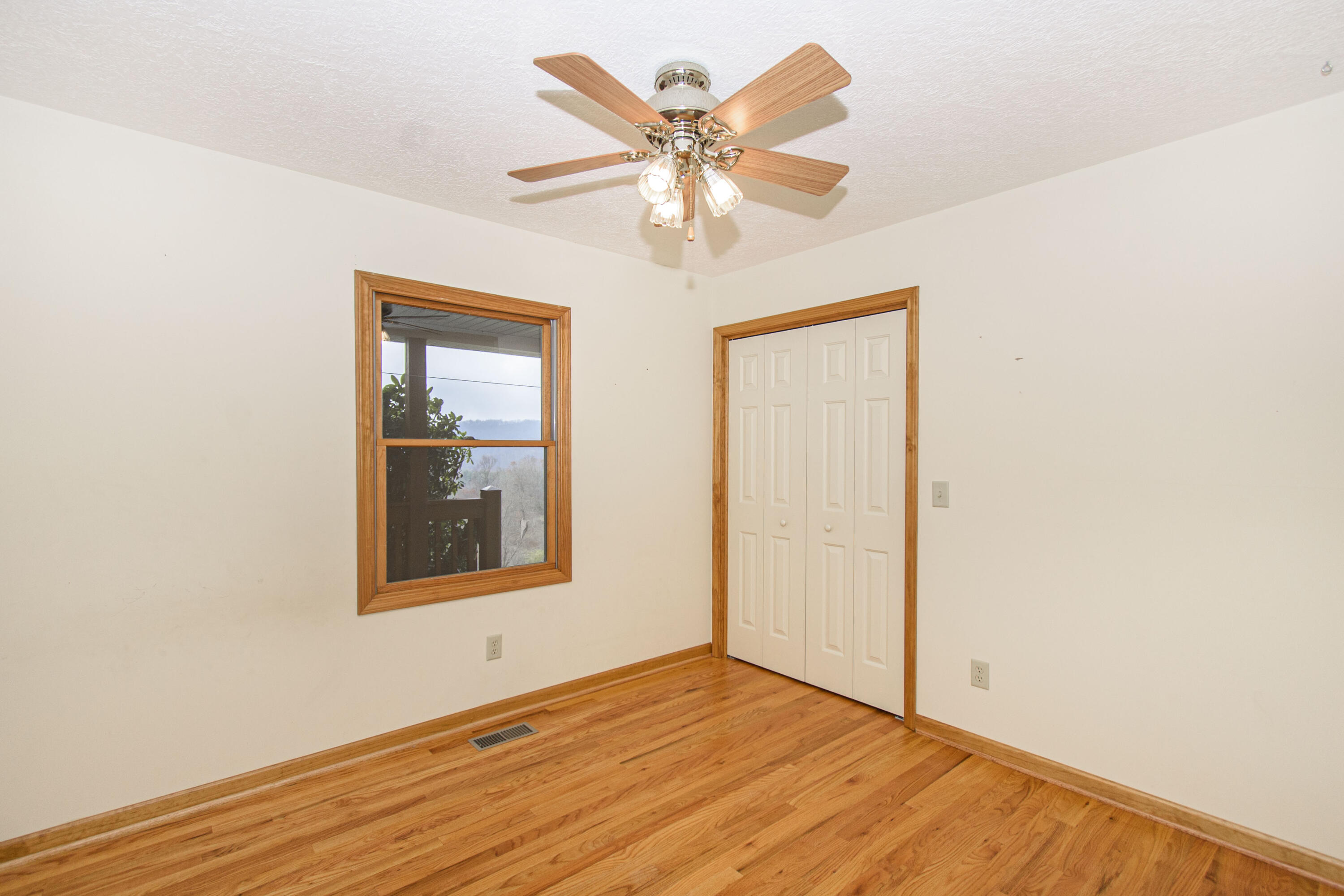 5485 Buffalo Mountain Road Southwest Willis, VA 24380 - Photo 28 of 77 Buffalo_46