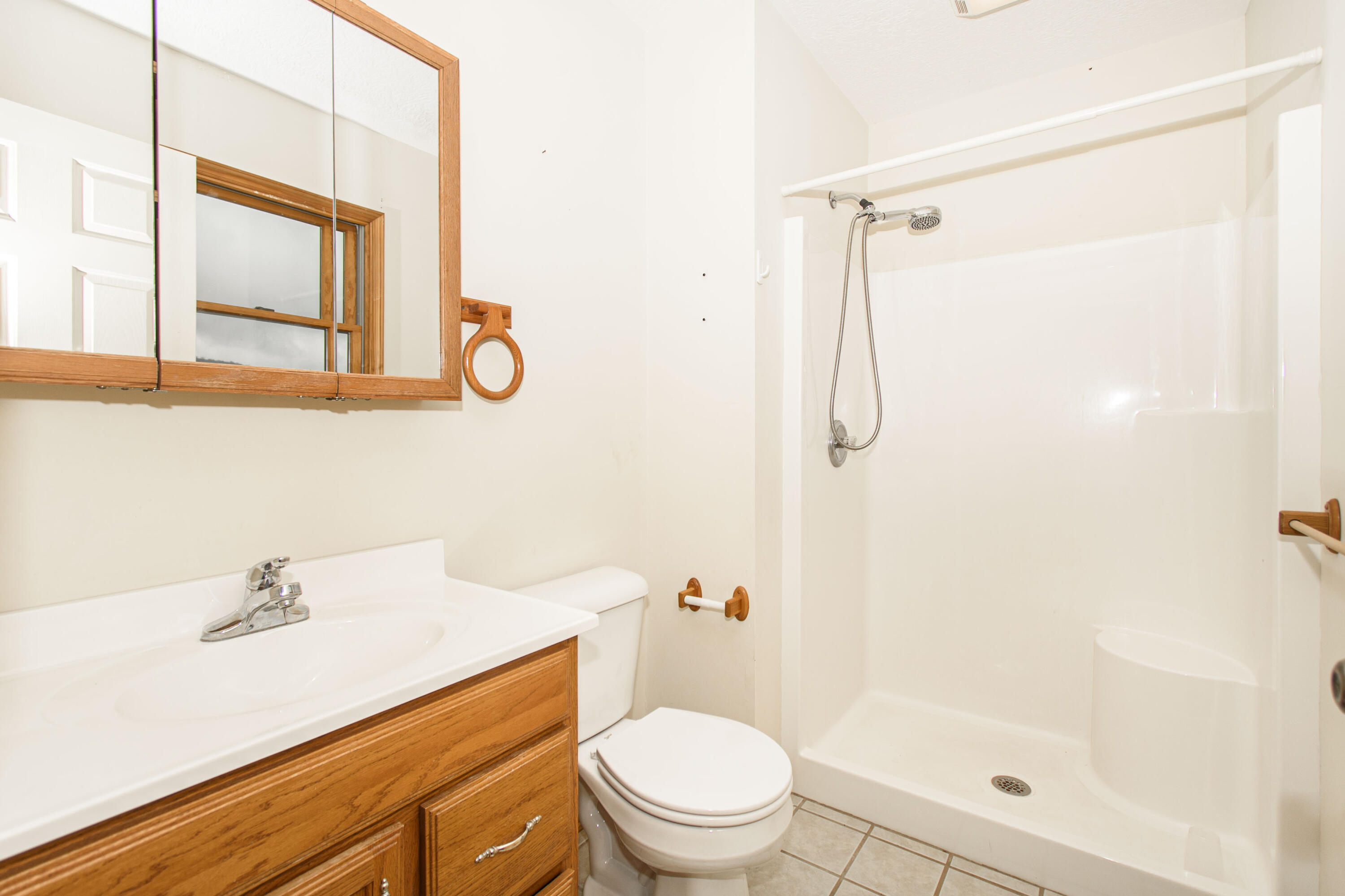 5485 Buffalo Mountain Road Southwest Willis, VA 24380 - Photo 32 of 77 a bathroom with a sink a toilet and shower