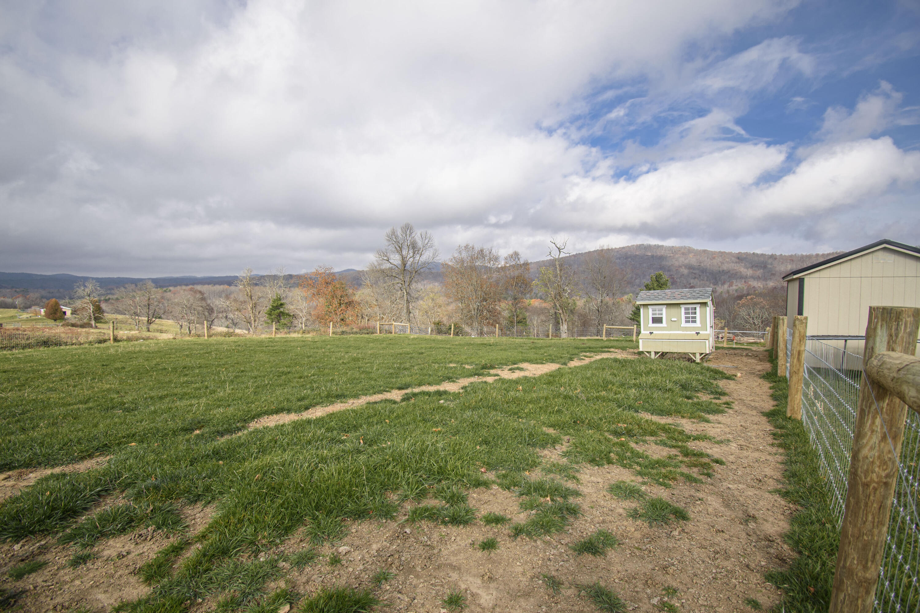 5485 Buffalo Mountain Road Southwest Willis, VA 24380 - Photo 63 of 77 a view of a big house with a big yard plants and large trees