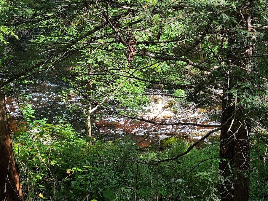 Lot 6 Estabrook Road Amity, ME 04471 - Photo 18 of 23 20210913_132832