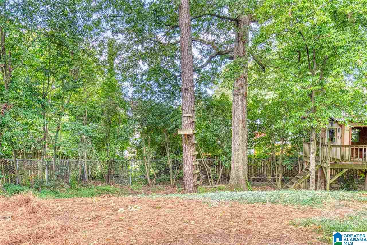 803 Wingate Circle Birmingham, AL 35209 - Photo 49 of 50