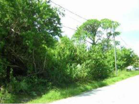 0 4th Street Palm Bay, FL 32905 - Photo 1 of 2 Primary Photo