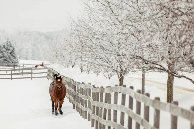 $7,000,000 | 9685 County Road 13 Southeast, Delano, MN 55328