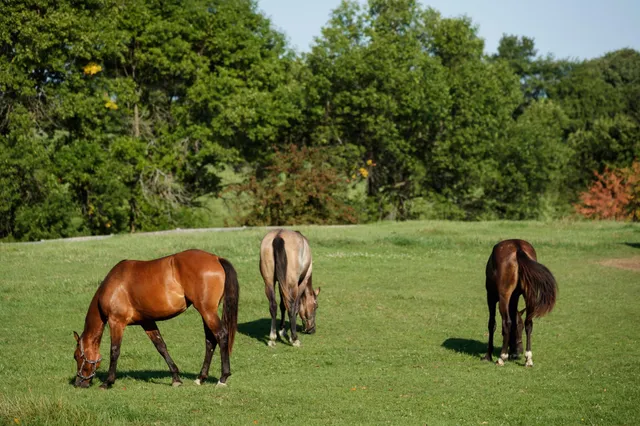 $7,000,000 | 9685 County Road 13 Southeast, Delano, MN 55328