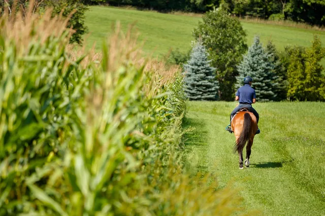 $7,000,000 | 9685 County Road 13 Southeast, Delano, MN 55328