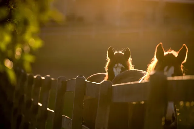 $7,000,000 | 9685 County Road 13 Southeast, Delano, MN 55328