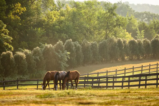 $7,000,000 | 9685 County Road 13 Southeast, Delano, MN 55328