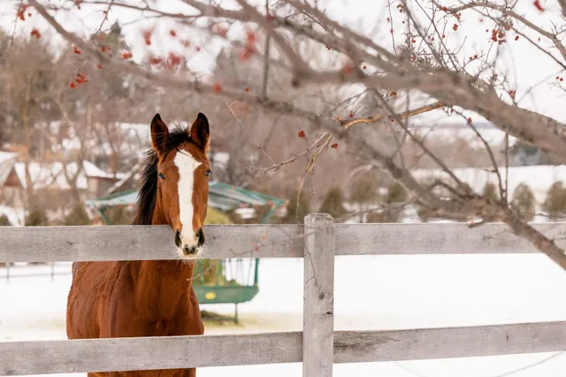 $7,000,000 | 9685 County Road 13 Southeast, Delano, MN 55328