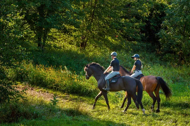 $7,000,000 | 9685 County Road 13 Southeast, Delano, MN 55328