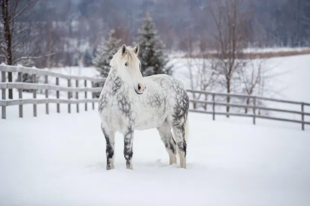 $7,000,000 | 9685 County Road 13 Southeast, Delano, MN 55328