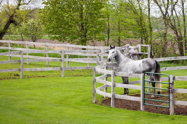 $7,000,000 | 9685 County Road 13 Southeast, Delano, MN 55328