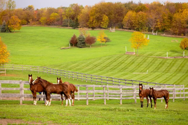 $7,000,000 | 9685 County Road 13 Southeast, Delano, MN 55328