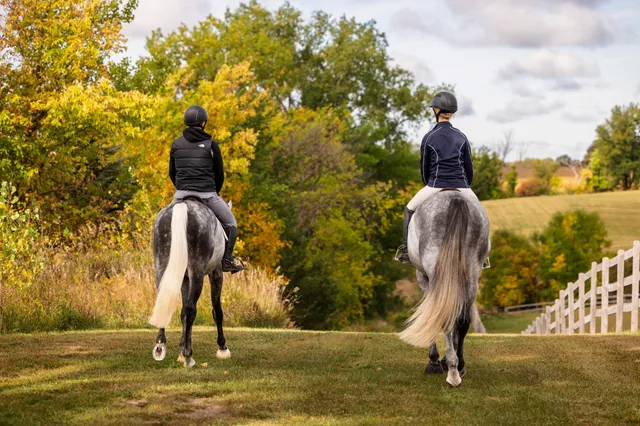 $7,000,000 | 9685 County Road 13 Southeast, Delano, MN 55328