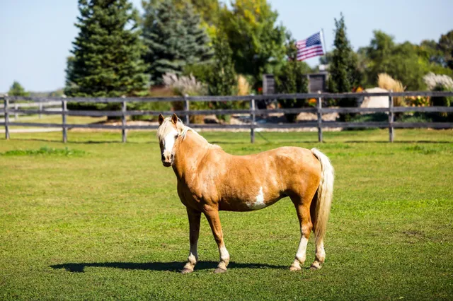 $7,000,000 | 9685 County Road 13 Southeast, Delano, MN 55328