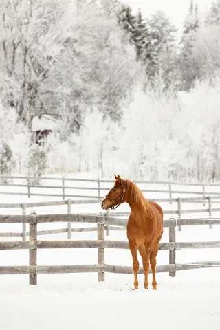 $7,000,000 | 9685 County Road 13 Southeast, Delano, MN 55328