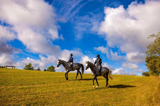 $7,000,000 | 9685 County Road 13 Southeast, Delano, MN 55328