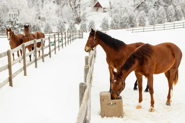 $7,000,000 | 9685 County Road 13 Southeast, Delano, MN 55328