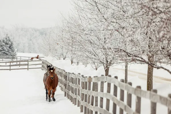 $7,000,000 | 9685 County Road 13 Southeast, Delano, MN 55328