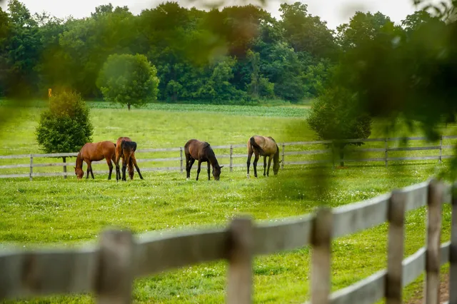 $7,000,000 | 9685 County Road 13 Southeast, Delano, MN 55328