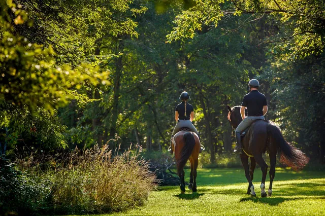 $7,000,000 | 9685 County Road 13 Southeast, Delano, MN 55328