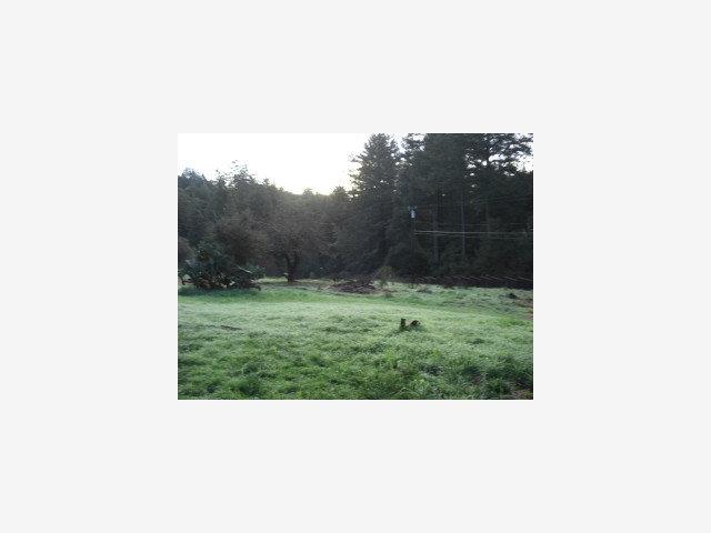 460 Roberts Road Ben Lomond, CA 95005 - Photo 3 of 9 Gallery Image 3