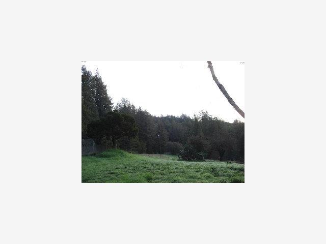 460 Roberts Road Ben Lomond, CA 95005 - Photo 4 of 9 Gallery Image 4