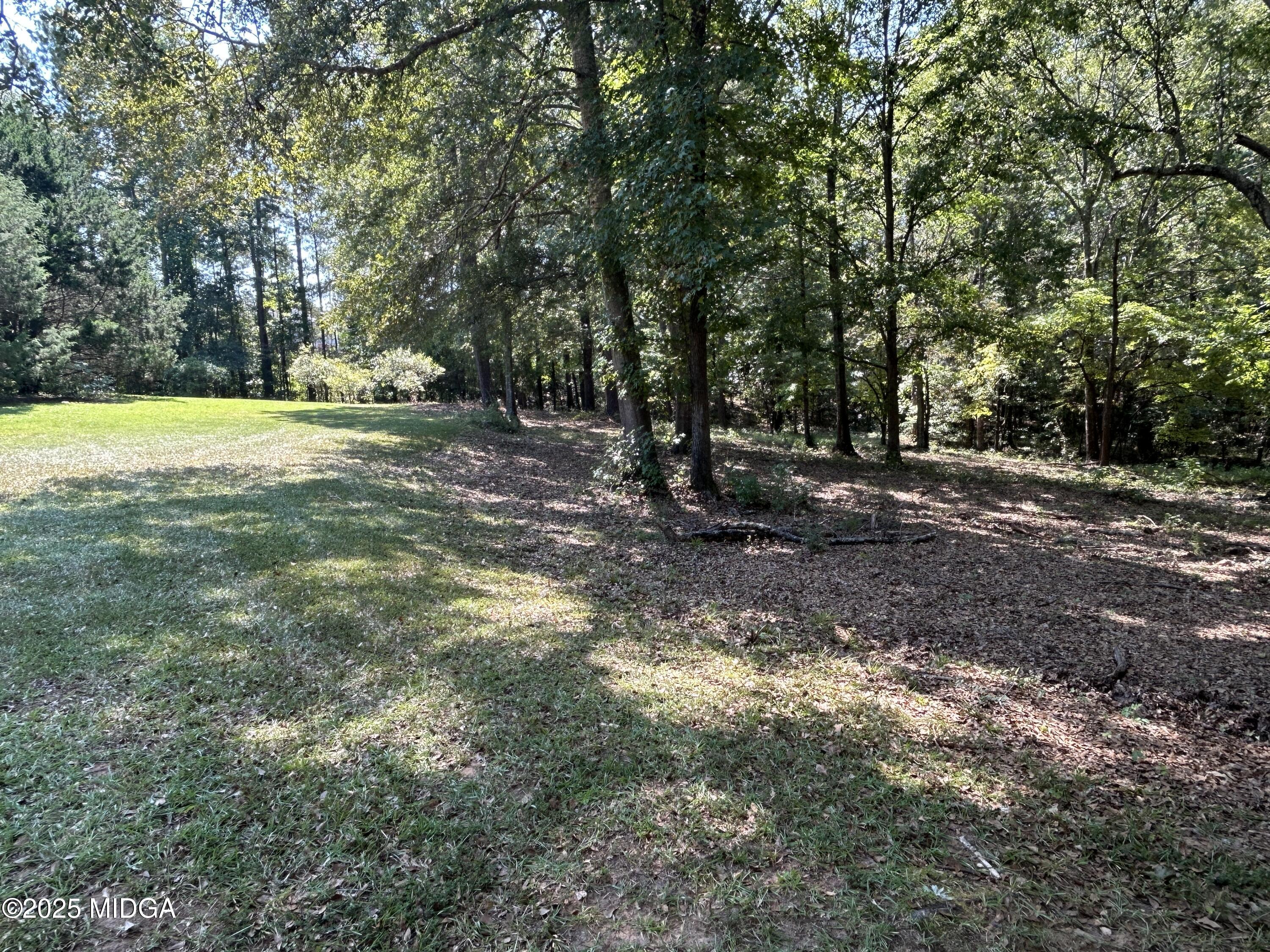 95 Mitchell Road Forsyth, GA 31029 - Photo 38 of 40 IMG_7123