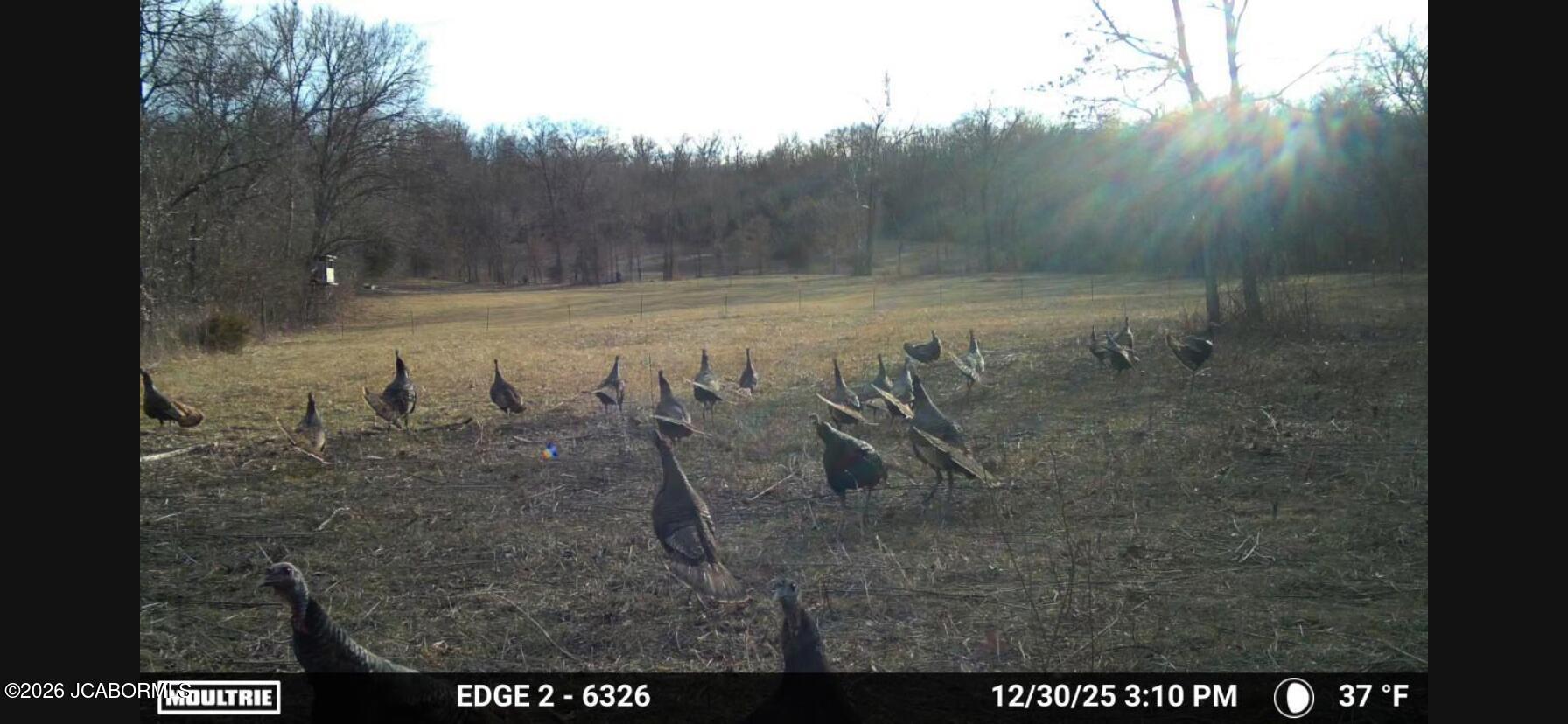 5754 Dry Branch Road St. Clair, MO 63077 - Photo 17 of 20