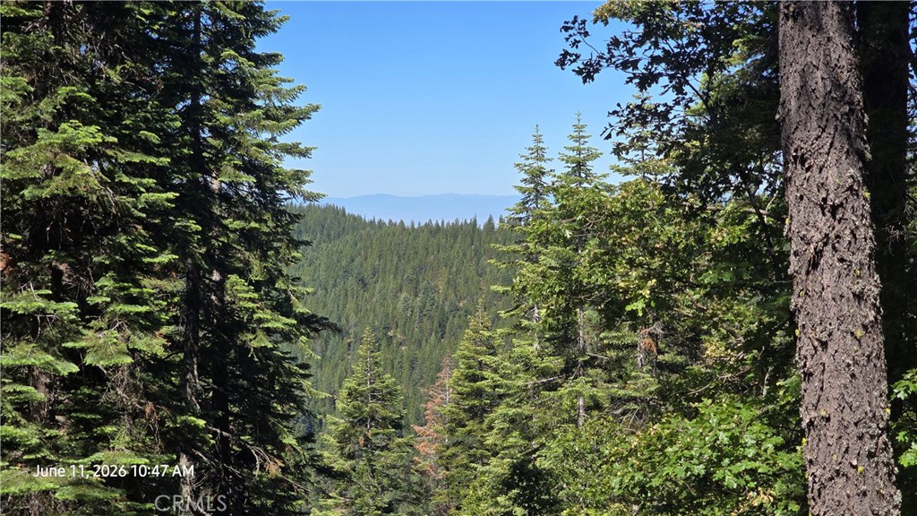 0 Fish Creek Forest Ranch, CA 95942 - Photo 20 of 43 Looking West...
