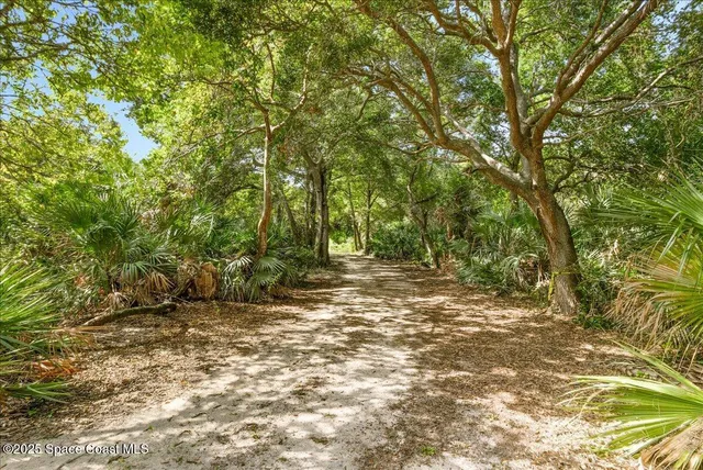 a view of outdoor space and yard