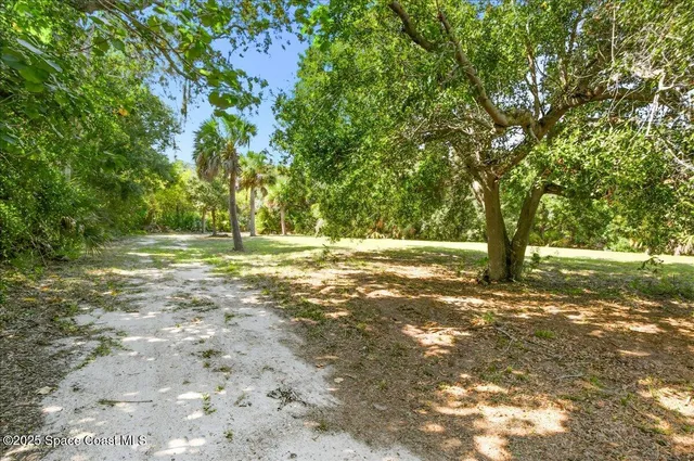 a view of outdoor space with trees all around