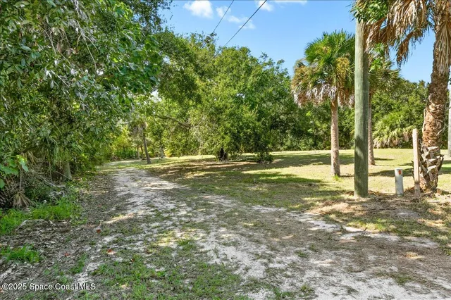 a view of yard with tree